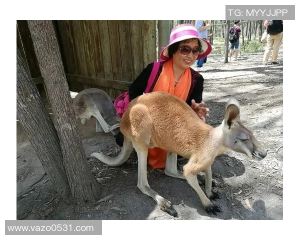 篮球澳大利亚与新西兰激战正酣谁能在这场对决中笑到最后