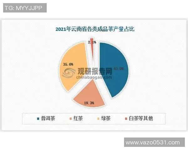 赖斯的外交智慧与全球战略影响力分析与展望
